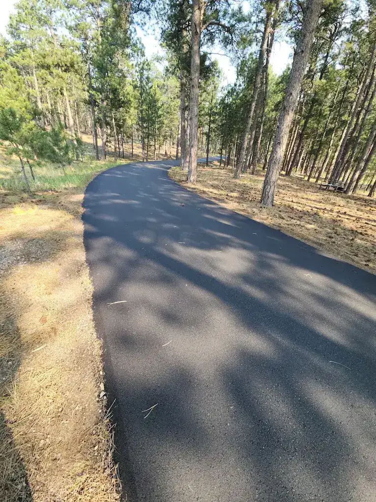 Long asphalt driveway winding through ponderosa pines on a Colorado acreage property